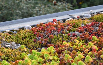 the cost of Rosevear green roof installation